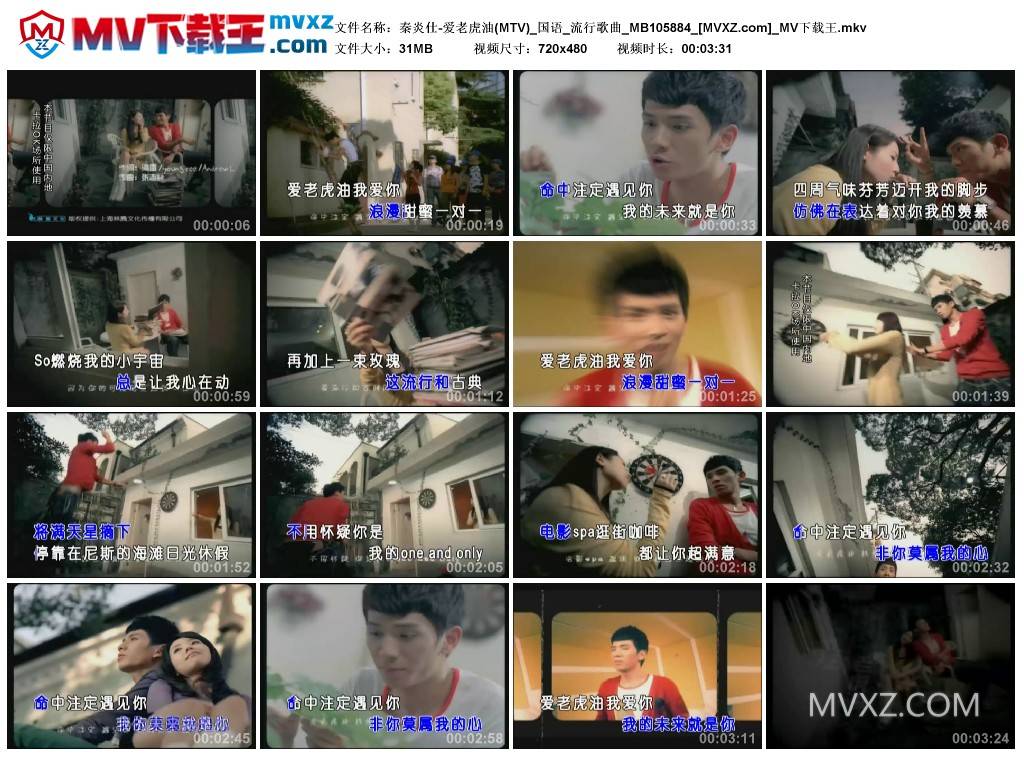 秦炎仕-爱老虎油(MTV)_国语_流行歌曲_MB105884